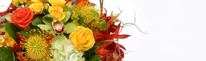 Hollywood Fl Same Day Flower Delivery Al S Florist Hollywood