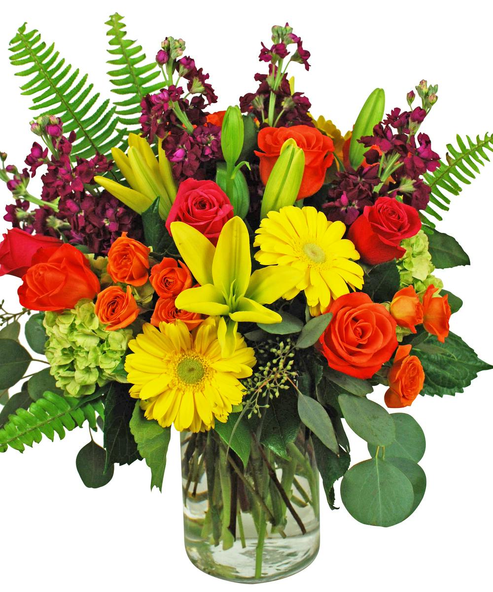 Birthday Flowers & Gift Delivery Hollywood (FL) SameDay Delivery Al