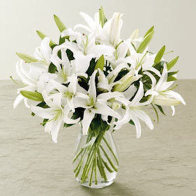 All White Casablanca Lilies | Al's Florist Hollywood FL