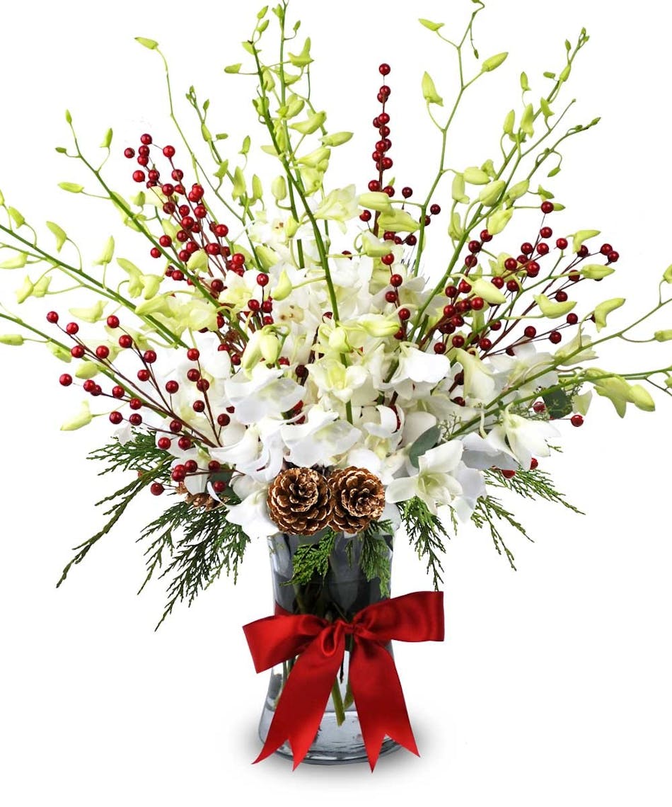 White orchids, berries, Christmas greens & pine cones in a vase tied with red ribbon.