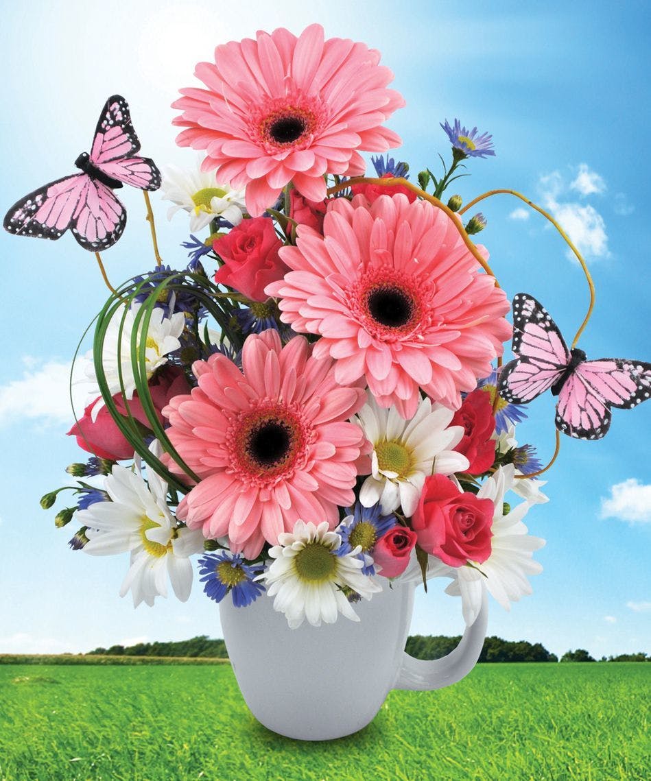 Thank You Flowers Same Day Delivery Hollywood FL