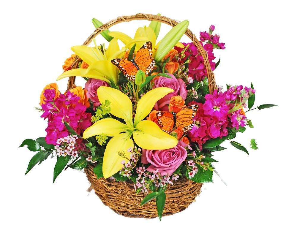 Spring Butterfly Flowers Same Day Delivery Hollywood FL