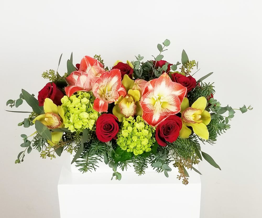 Crimson Classic Hollywood (FL) SameDay Flower Delivery Al's Florist