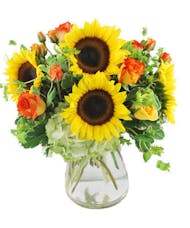 Sunflower Elegance