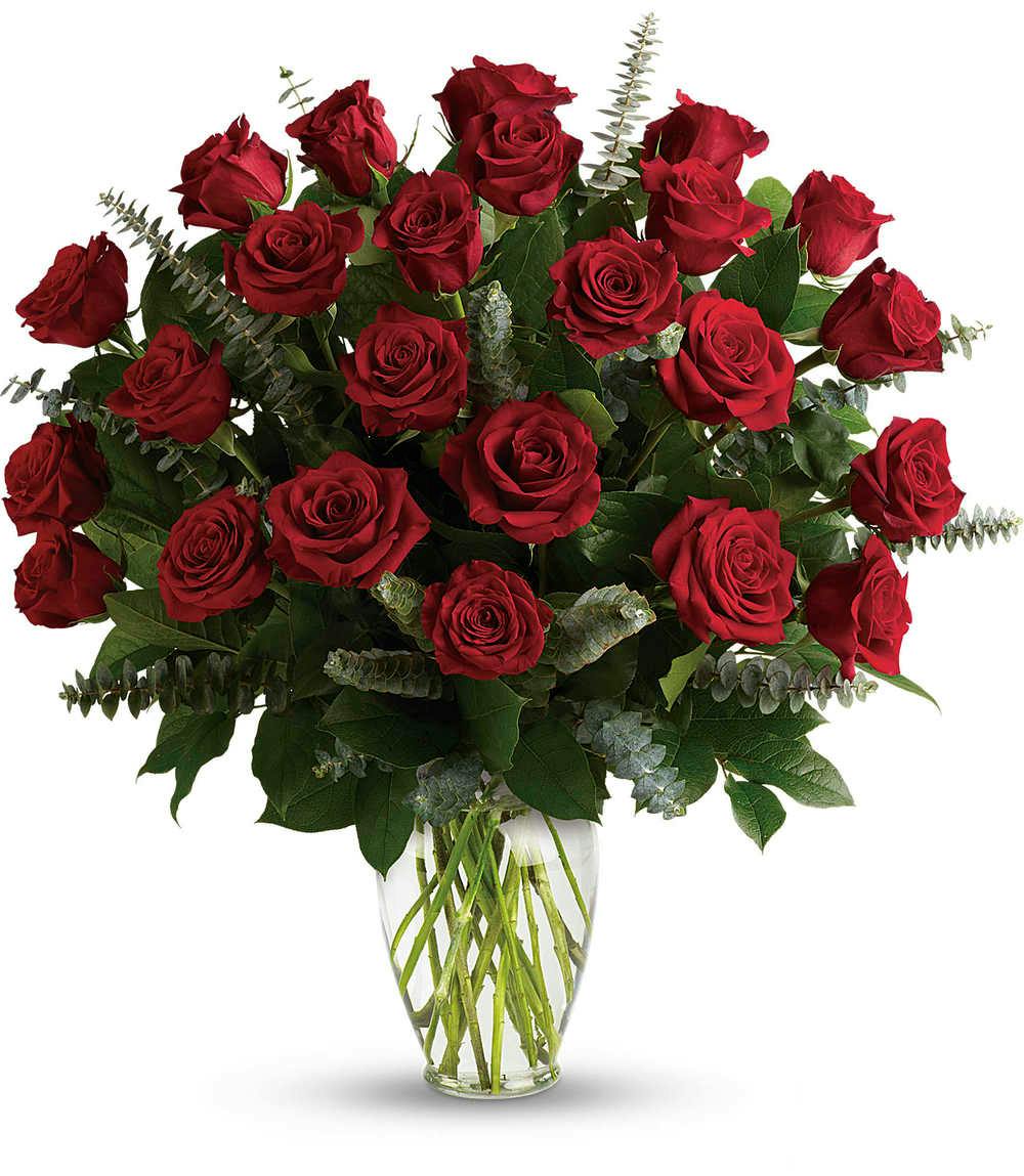 One Dozen Red Roses Hollywood & Weston (FL) Same-day Delivery