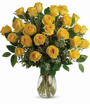 Download One Dozen Yellow Roses Al S Hollywood Fl Rose Delivery
