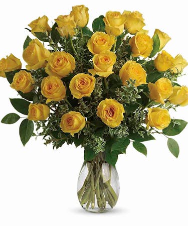 Download One Dozen Yellow Roses Al S Hollywood Fl Rose Delivery