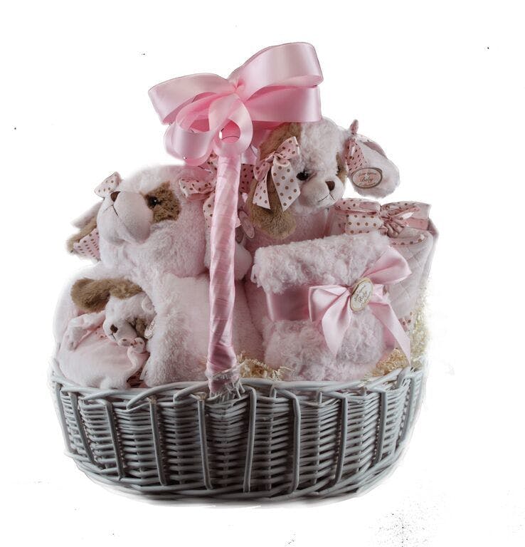 Baby Gift Delivery Cairns at Lisa Smith blog