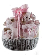 Baby Girl Gift Basket 