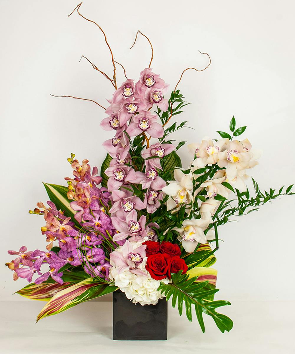 Bellisimo Orchids & Roses Flower Delivery Hollywood FL