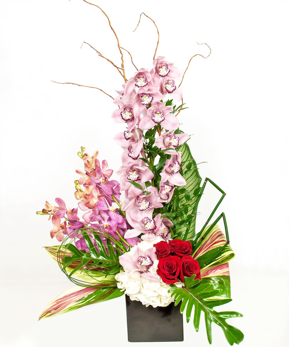 Tropical & Exotic Flower Delivery Hollywood FL Sameday Florist
