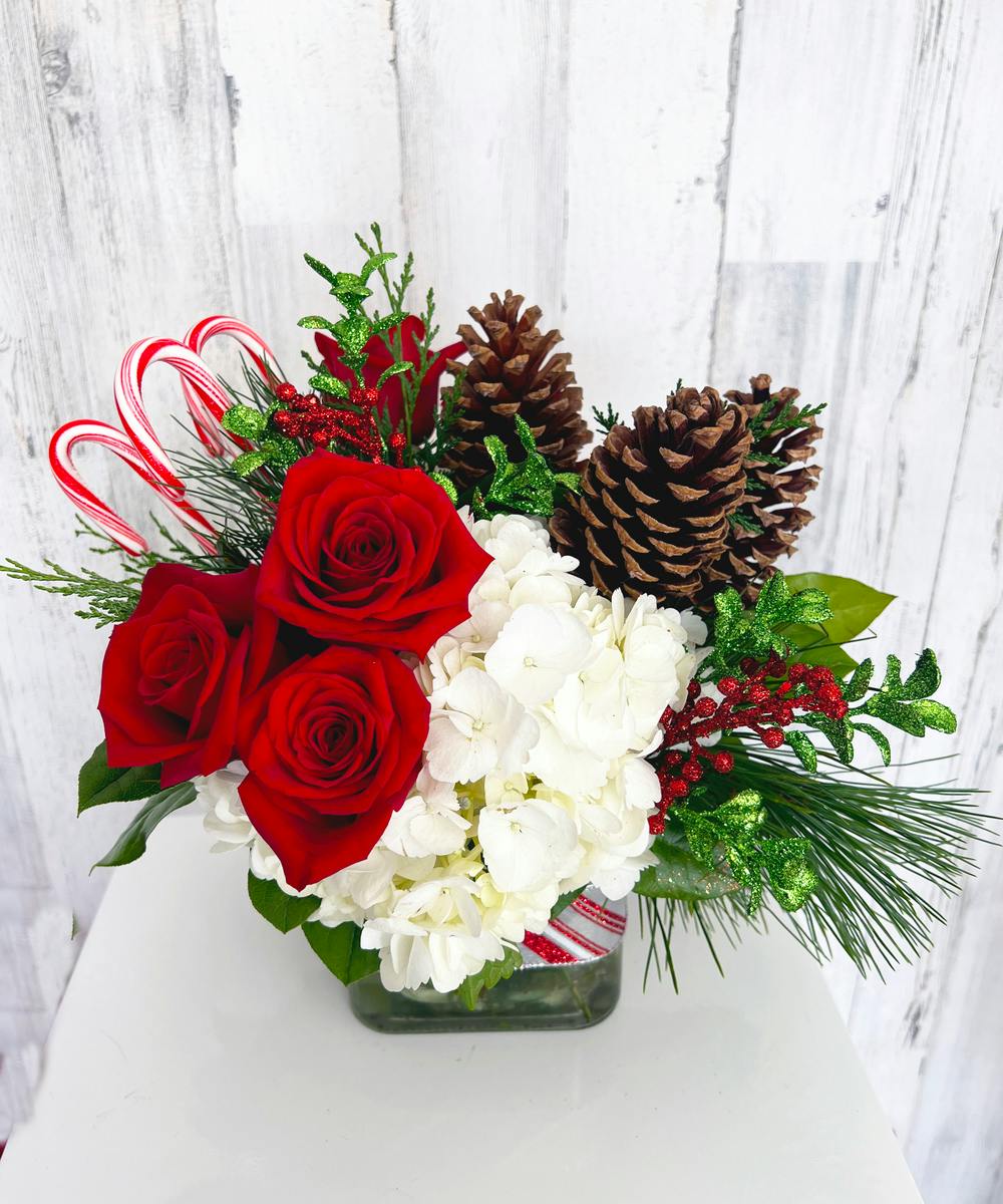 Hollywood FL Holiday Flowers Delivery Sappy & Sweet Al's Florist