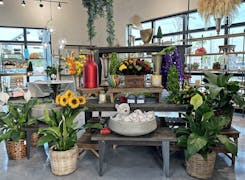 A lovely selection of plants and home décor items, on display in our new showroom